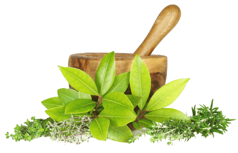 Vedamrita Hospitals - Main Facility